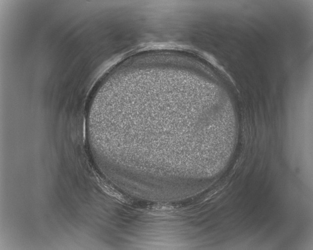 X0000080201221200612302329