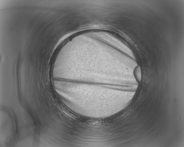 X0000080201222200612302329