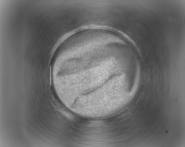 X0000080201223200612302329