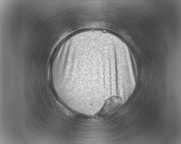 X0000080201224200612302329