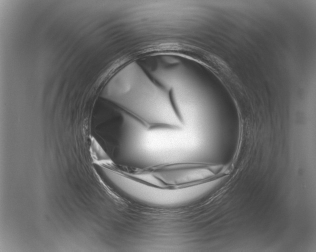 X0000080201225200612302329