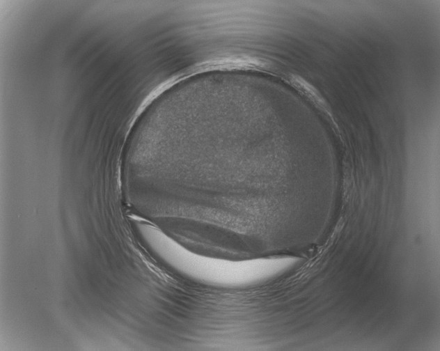 X0000080201226200612302329