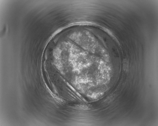 X0000080201229200612302329