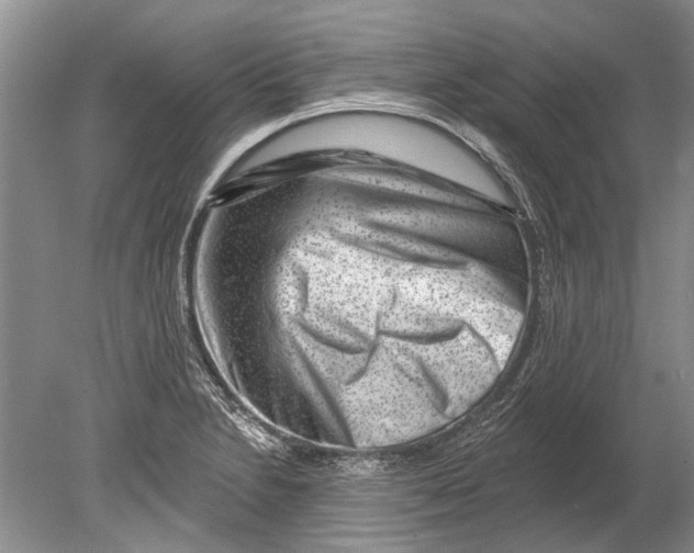 X0000080201230200612302329