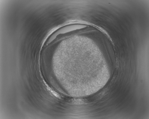 X0000080201231200612302329