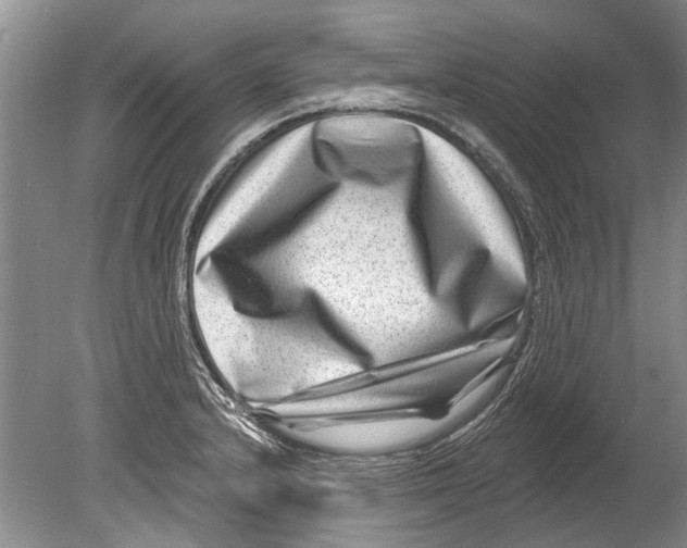 X0000080201232200612302329