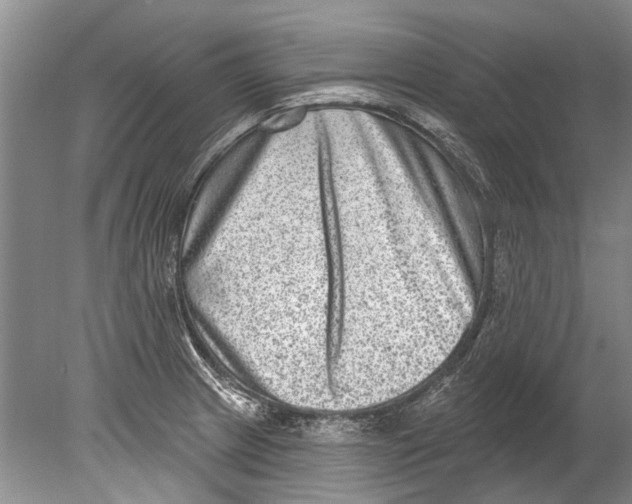 X0000080201233200612302329