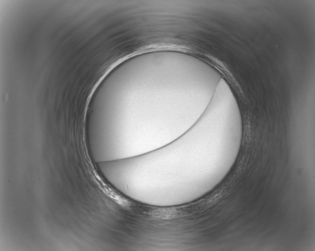 X0000080201236200612302329