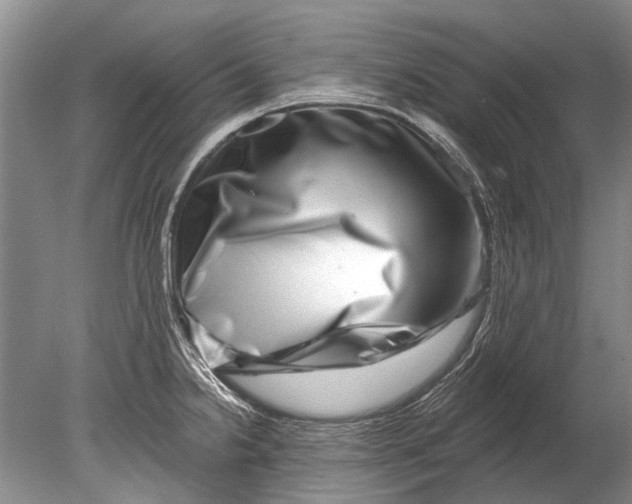 X0000080201238200612302329