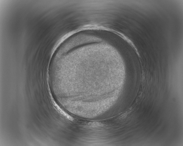 X0000080201239200612302329