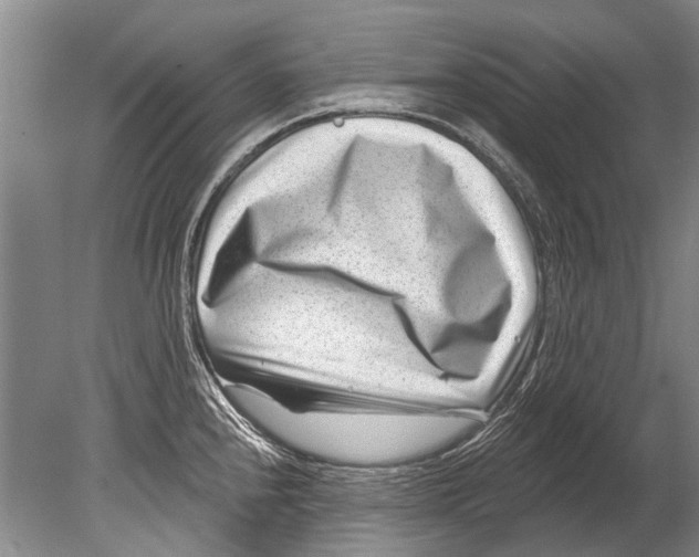 X0000080201240200612302329