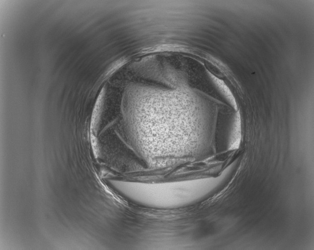 X0000080201241200612302329