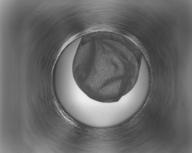 X0000080201242200612302329