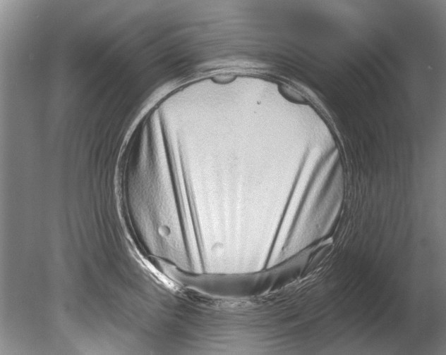 X0000080201243200612302329