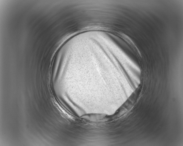 X0000080201244200612302329