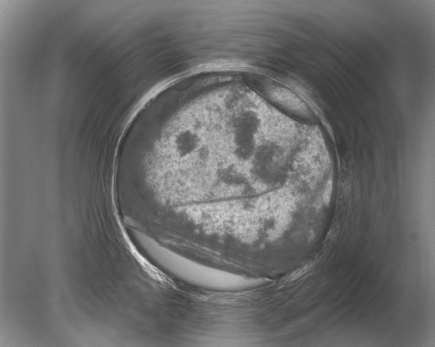 X0000080201245200612302329