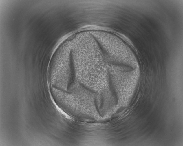 X0000080201247200612302329