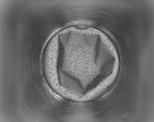 X0000080201248200612302329