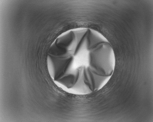 X0000080201249200612302329