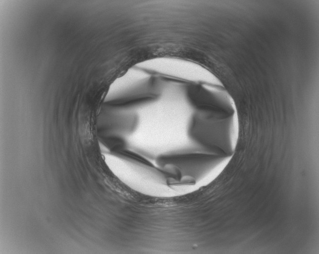 X0000080201250200612302329