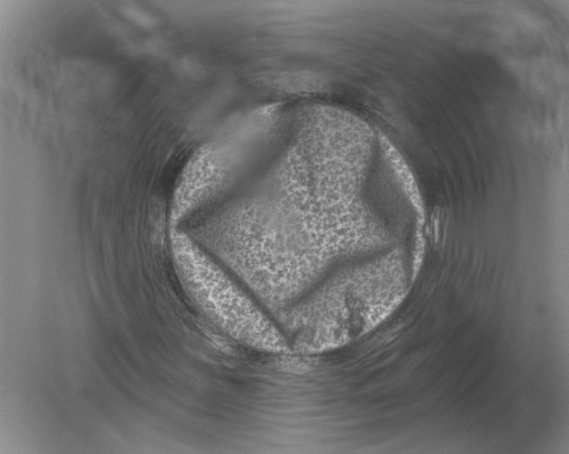 X0000080201251200612302329