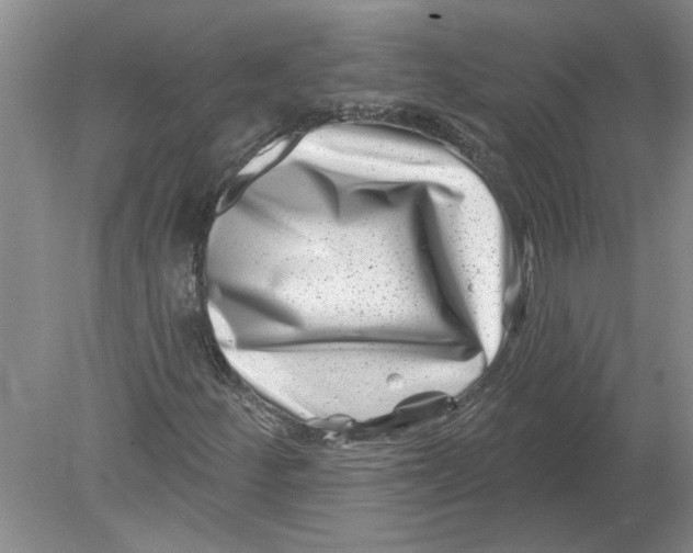 X0000080201252200612302329