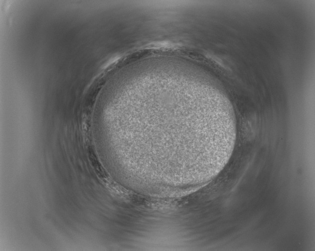 X0000080201254200612302329