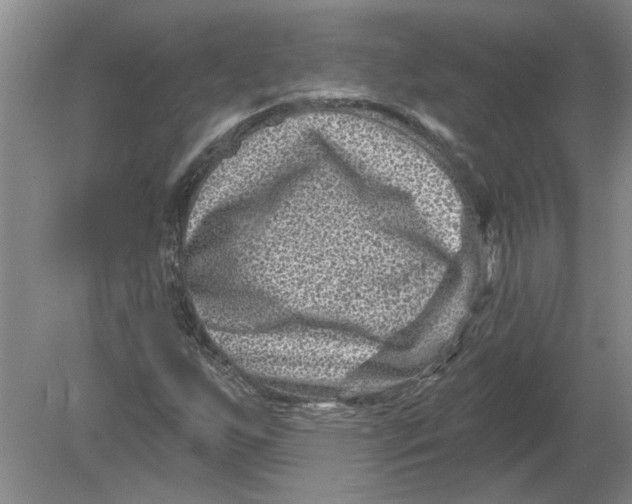 X0000080201255200612302329