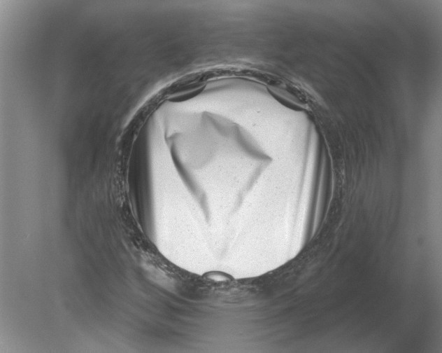 X0000080201256200612302328