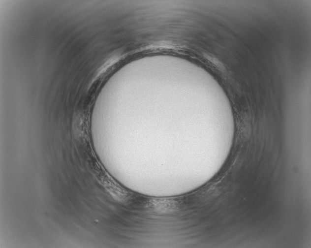 X0000080201258200612302328