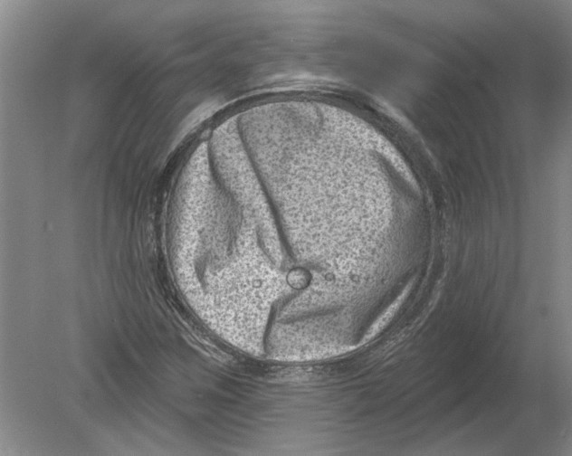 X0000080201259200612302328