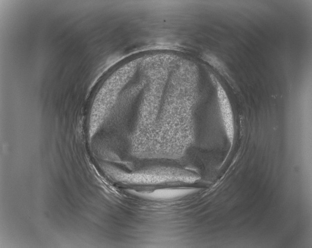 X0000080201260200612302328