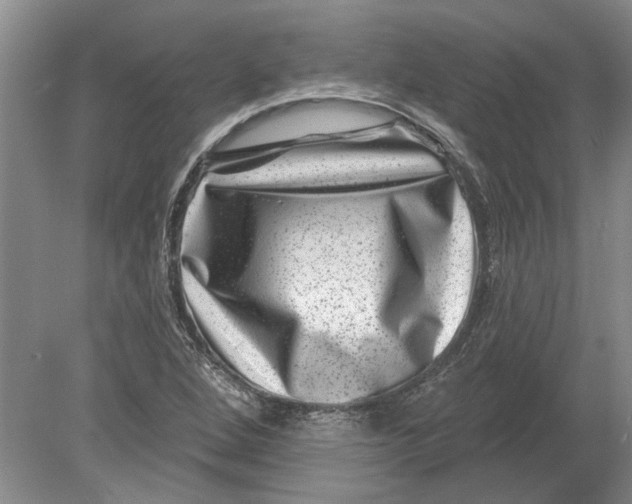 X0000080201264200612302328