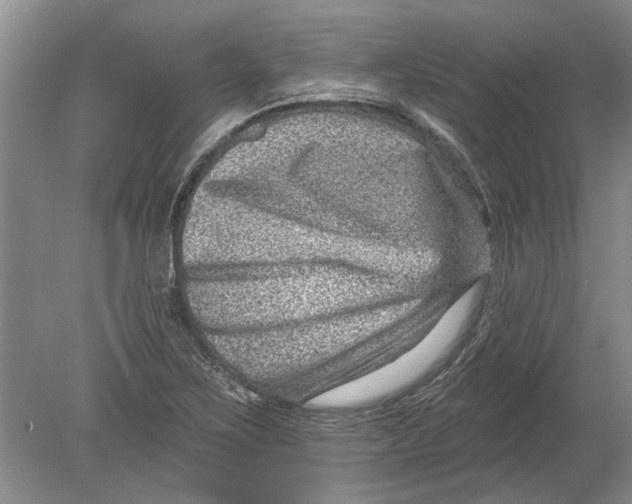 X0000080201267200612302328