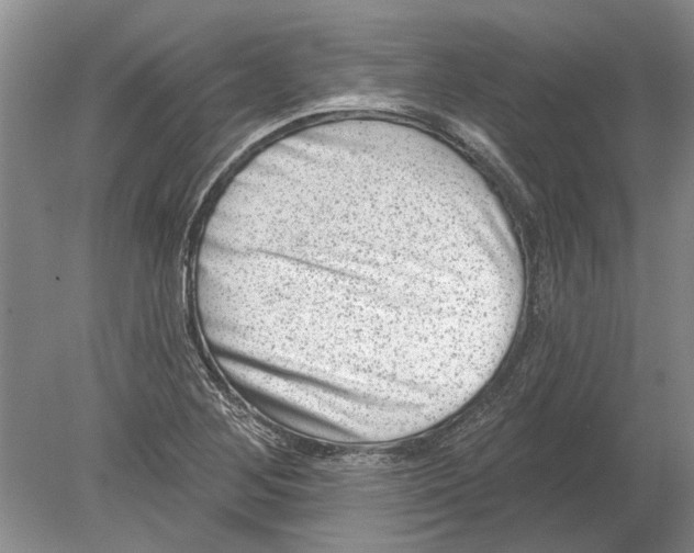 X0000080201268200612302328