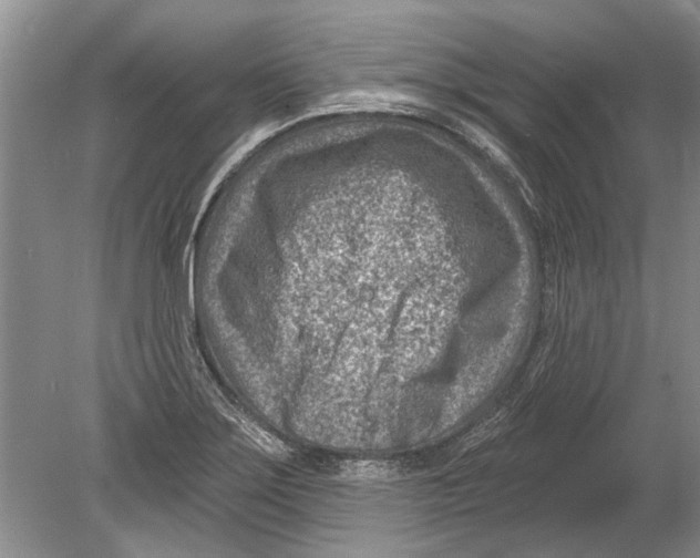 X0000080201275200612302328