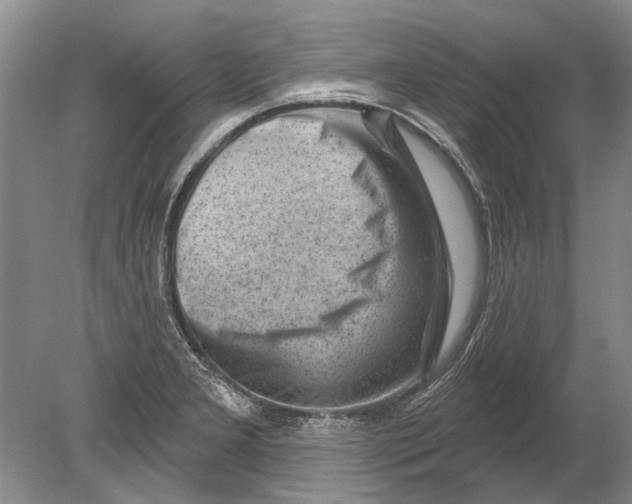 X0000080201277200612302328