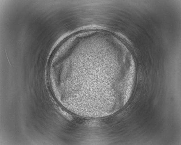 X0000080201278200612302328