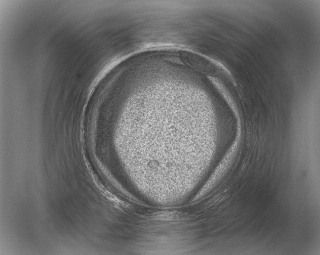 X0000080201279200612302328