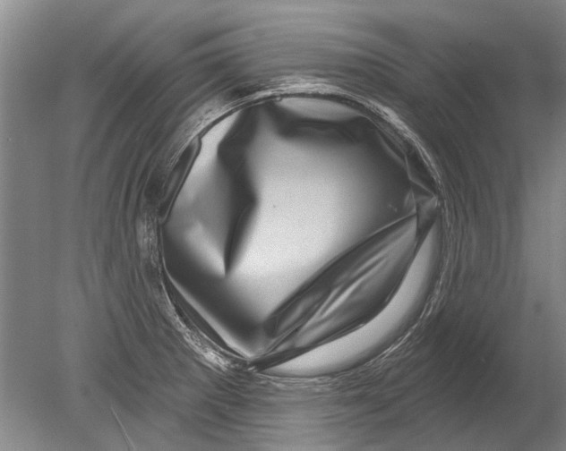 X0000080201281200612302328