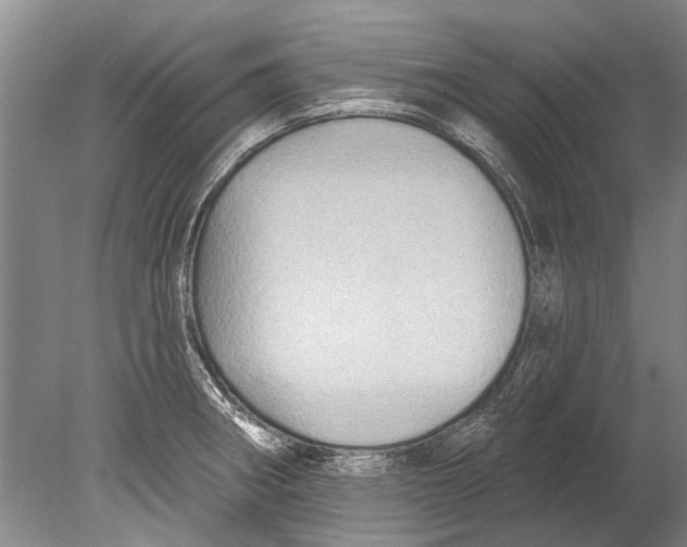 X0000080201282200612302328