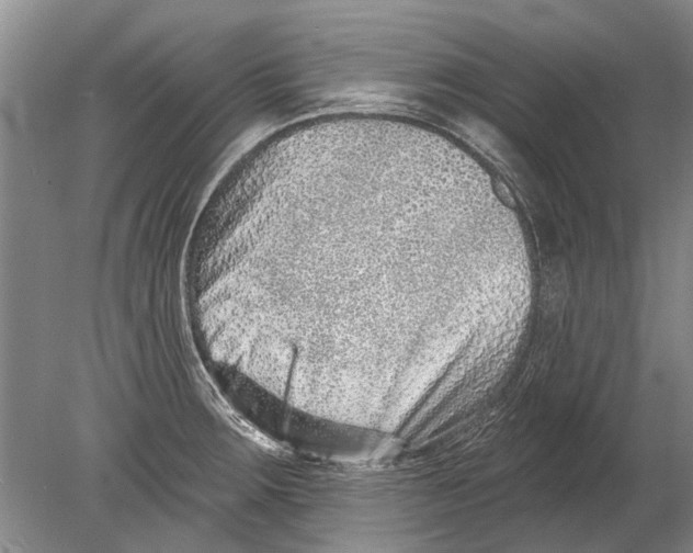 X0000080201283200612302328