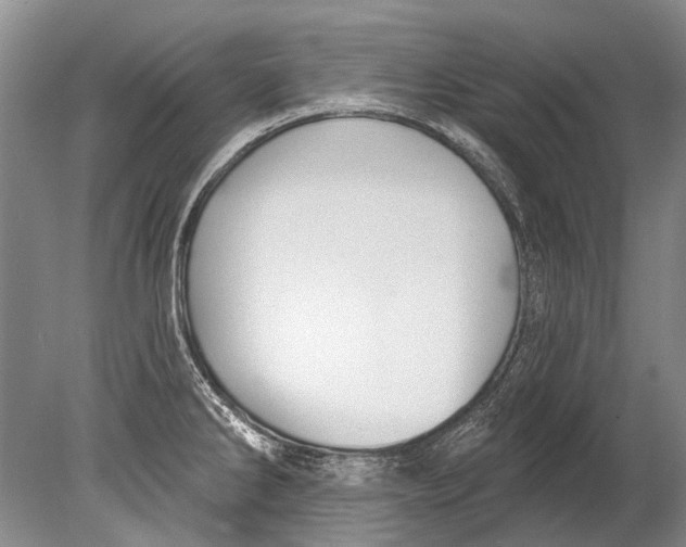 X0000080201286200612302328