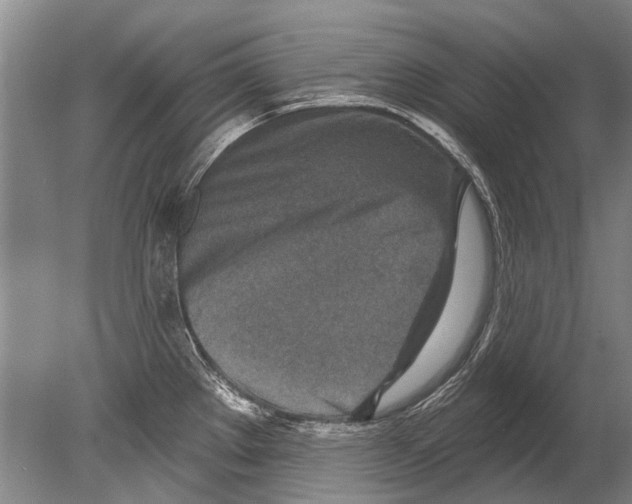 X0000080201289200612302328