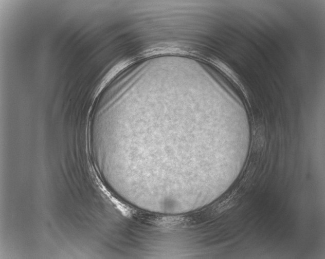 X0000080201290200612302328