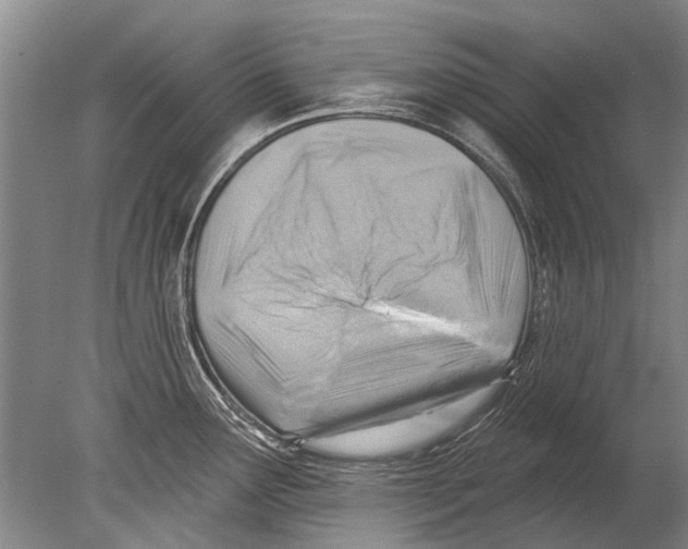 X0000080201291200612302328