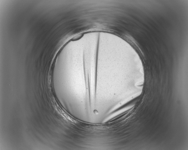 X0000080201292200612302328