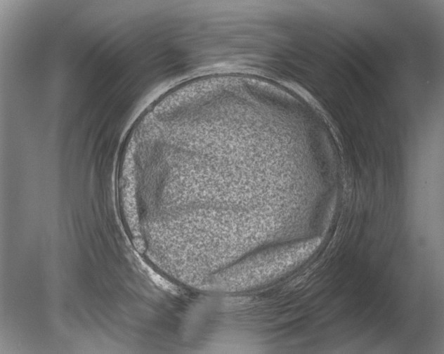 X0000080201294200612302328