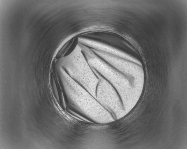 X0000080201296200612302328