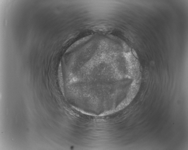 X0000080201297200612302327